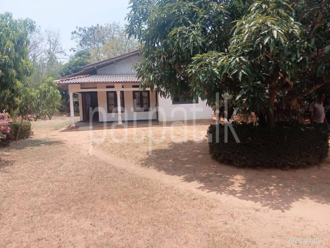 House for Sale in Tissamaharama