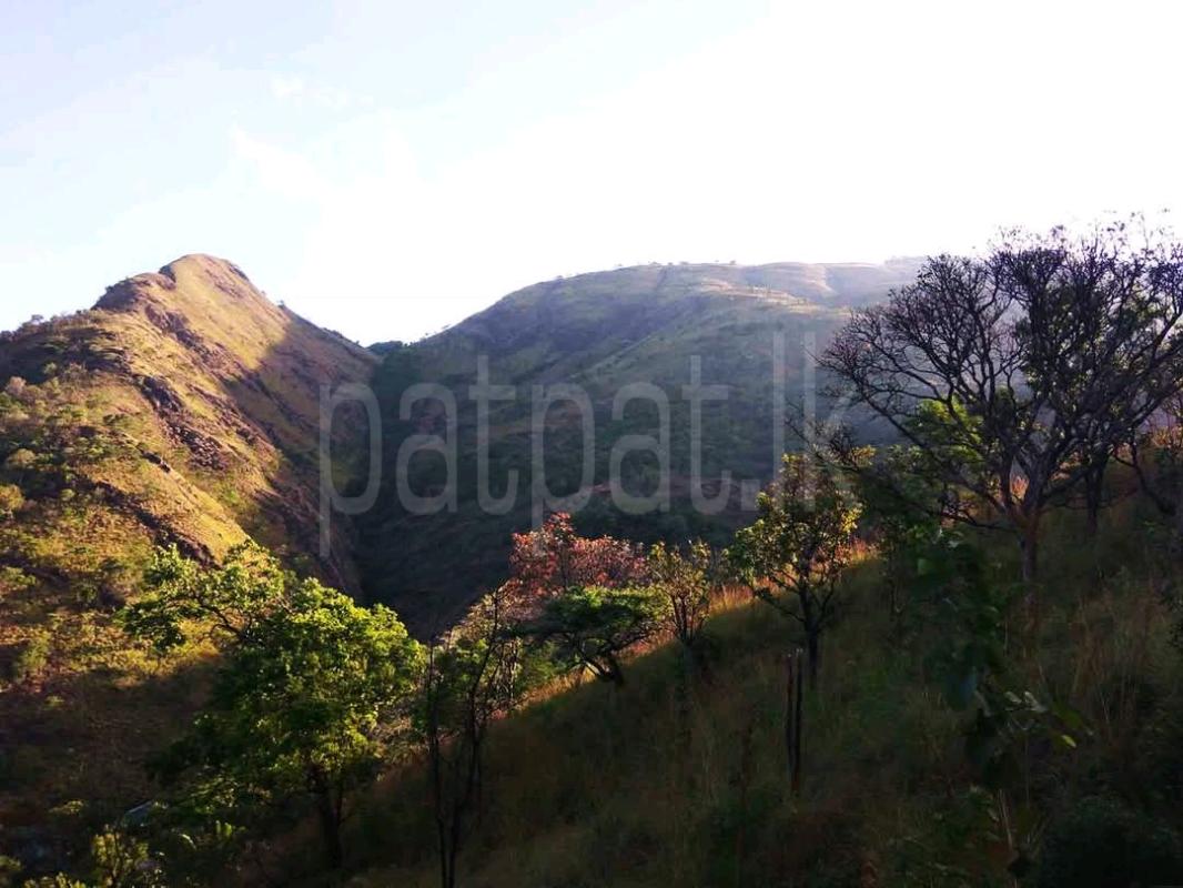 Agricultural Land for Sale in Nuwara Eliya ads-image-1