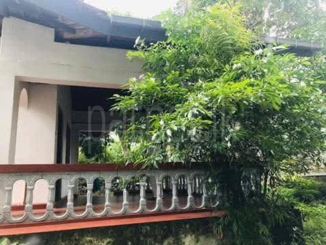 House for Sale in Kadawatha ads-image-1