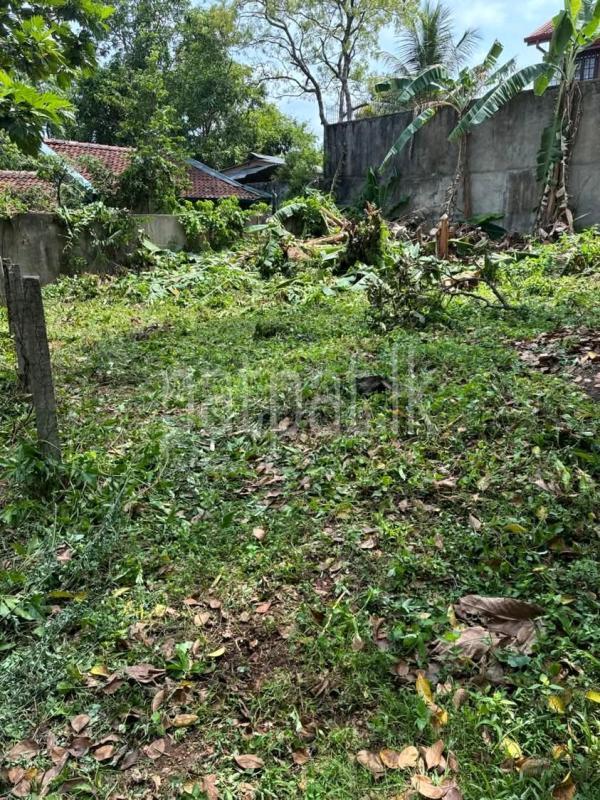 Residential Land for Sale in Kadawatha