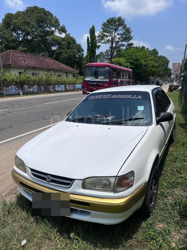 Toyota Corolla 1996 - பயன்படுத்தப்பட்டது கார் sale in Sri Lanka - patpat.lk