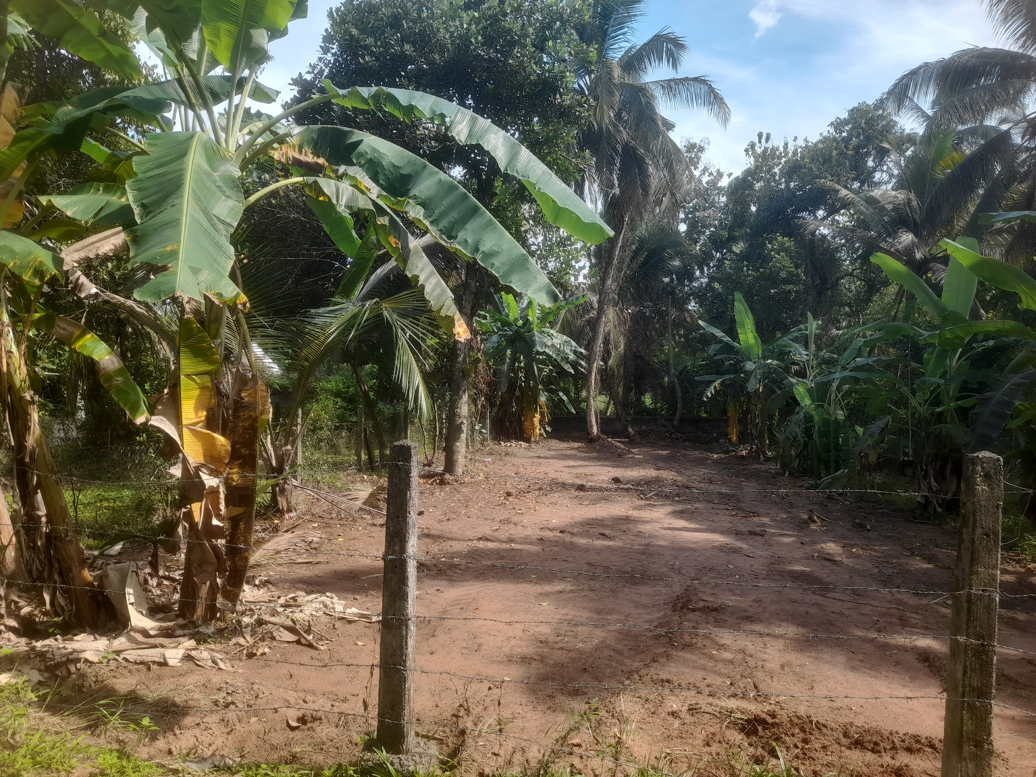 Residential Land for Sale in Kurunegala