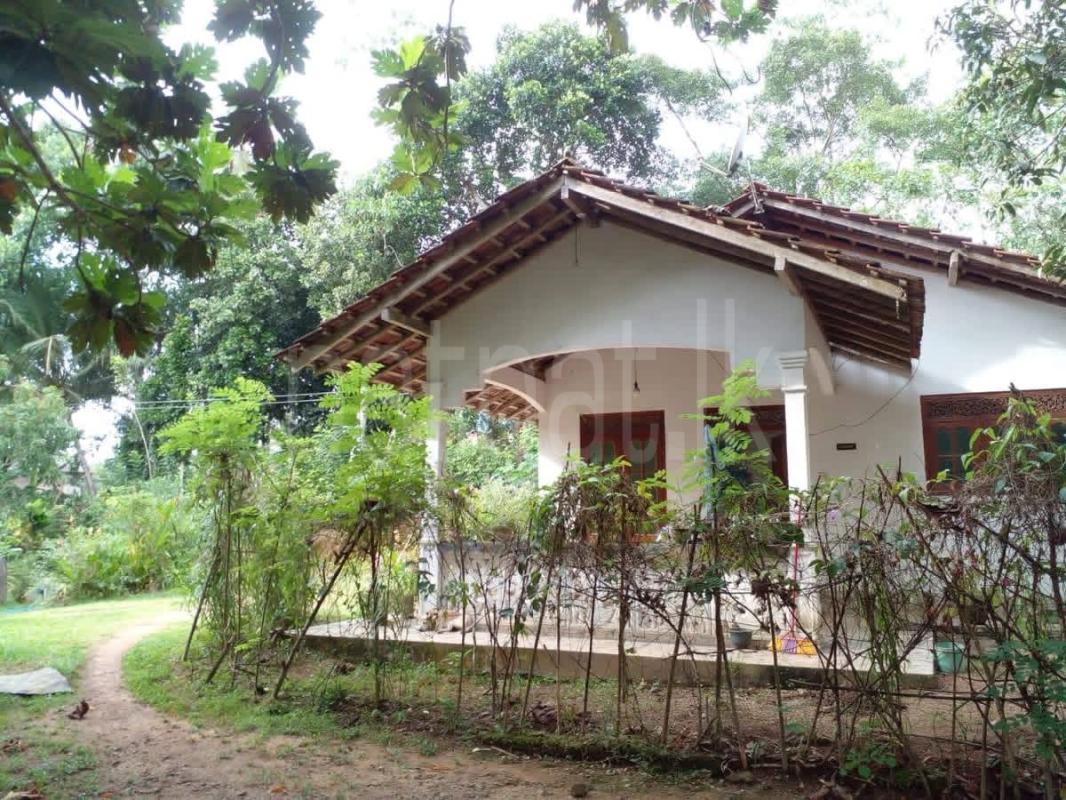 House for Sale in Baddegama ads-image-1