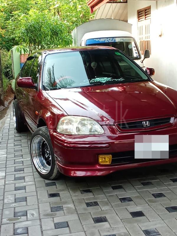 Advertisement image 2