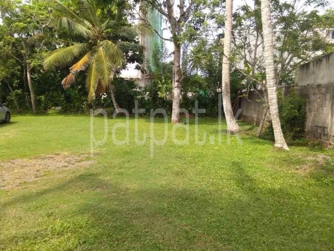 Commercial Land for Sale in Mirissa