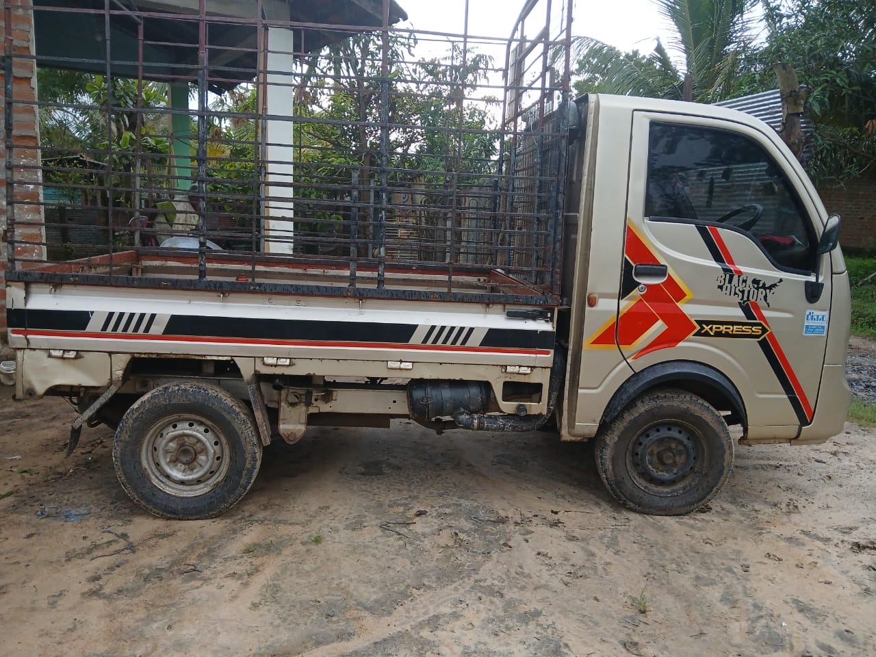 Tata Ace 2015 - Used Truck sale in Sri Lanka - patpat.lk