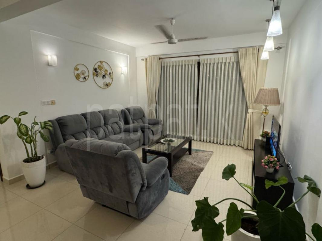 Luxury Apartment for Rent in Mount Lavinia ads-image-1