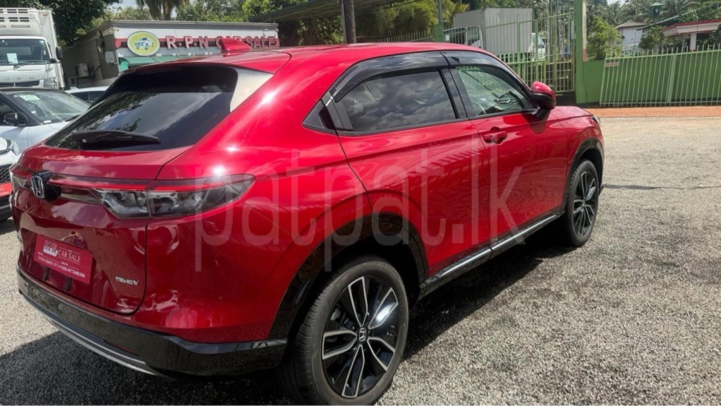 Advertisement image 4