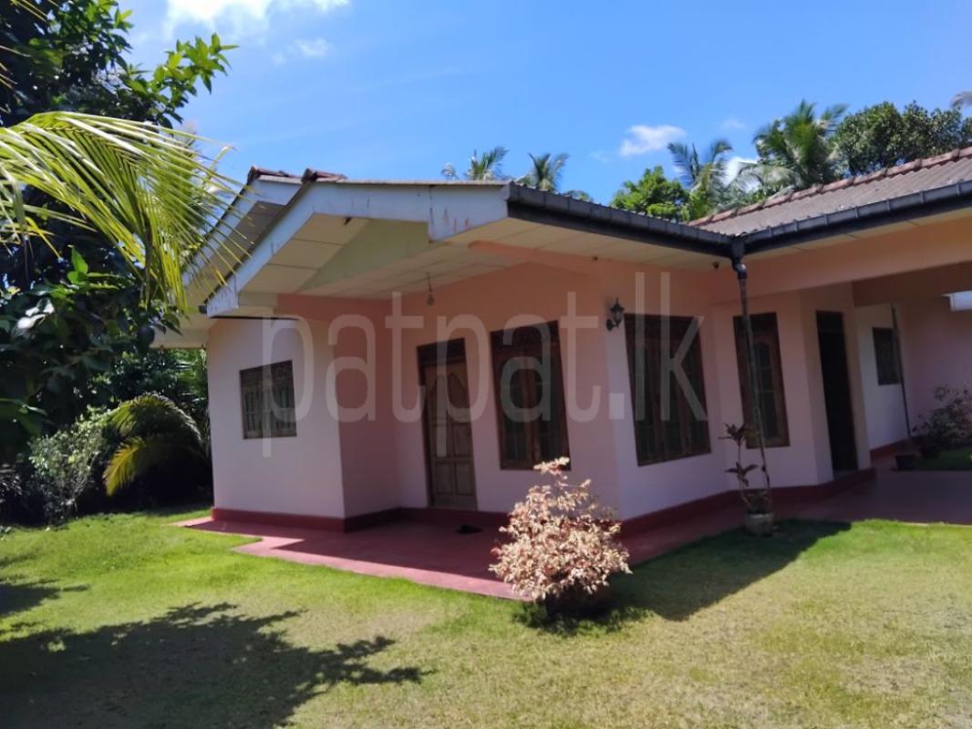 premium-listing-image