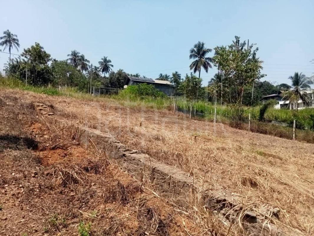 Residential Land for Sale in Kurunegala ads-image-1