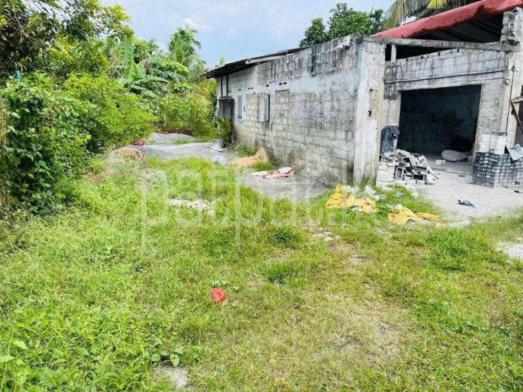 Advertisement image 1