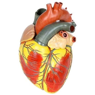 Giant Heart Model A410 ads-image-1