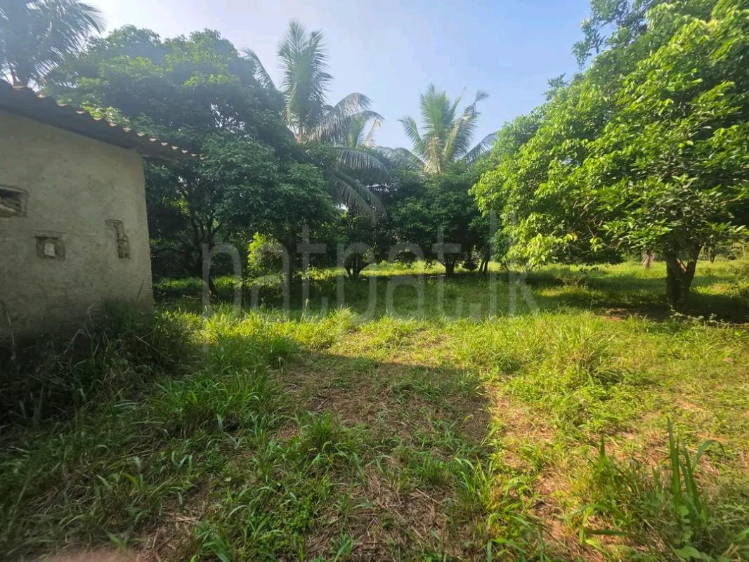 Residential Land for Sale in Moratuwa