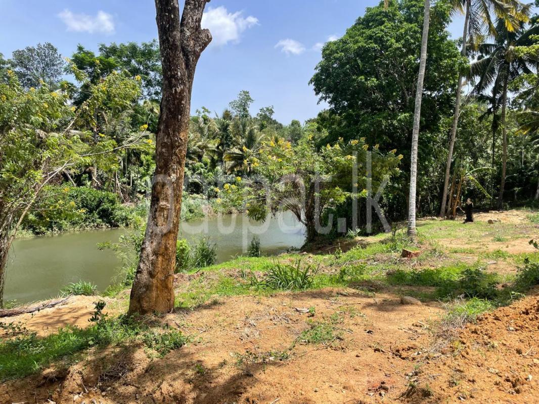 Residential Land for Sale in Balangoda