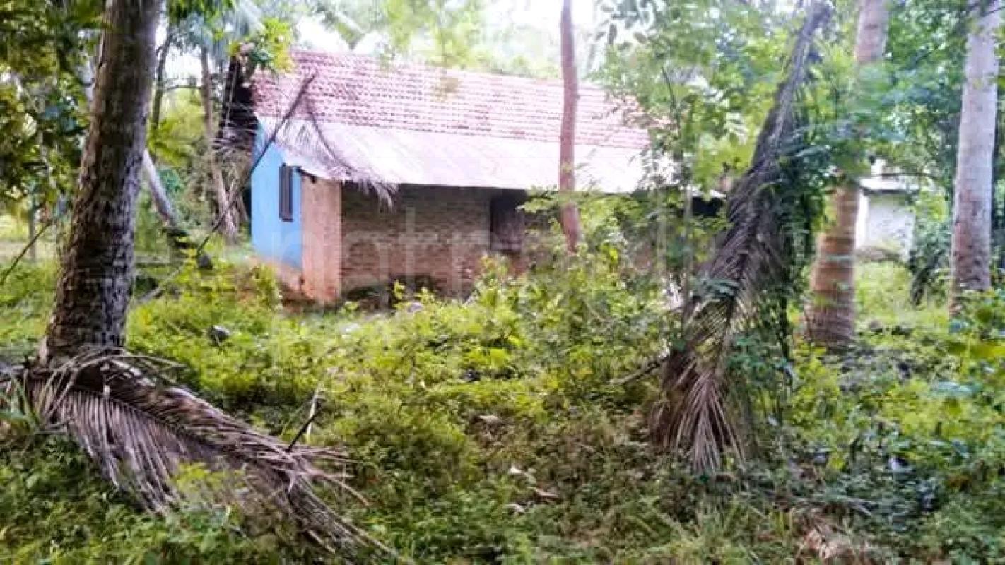 House for Sale in Wariyapola ads-image-1