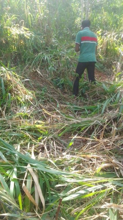 Agricultural Land for Sale in Peradeniya