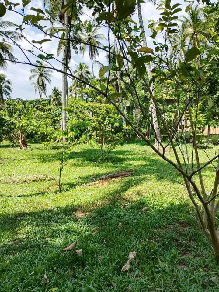Commercial Land for Sale in Yakkala