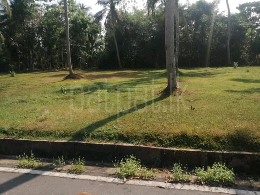 Commercial Land for Sale in Udugampola