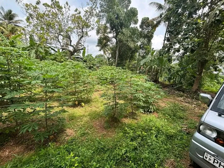 Residential Land for Sale in Horana