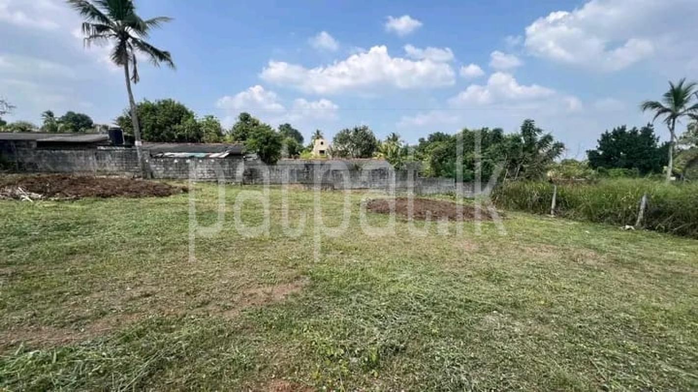 premium-listing-image