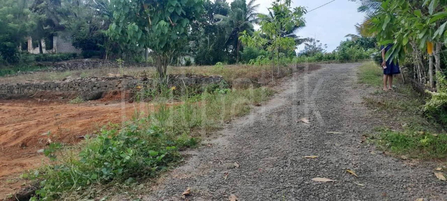 premium-listing-image