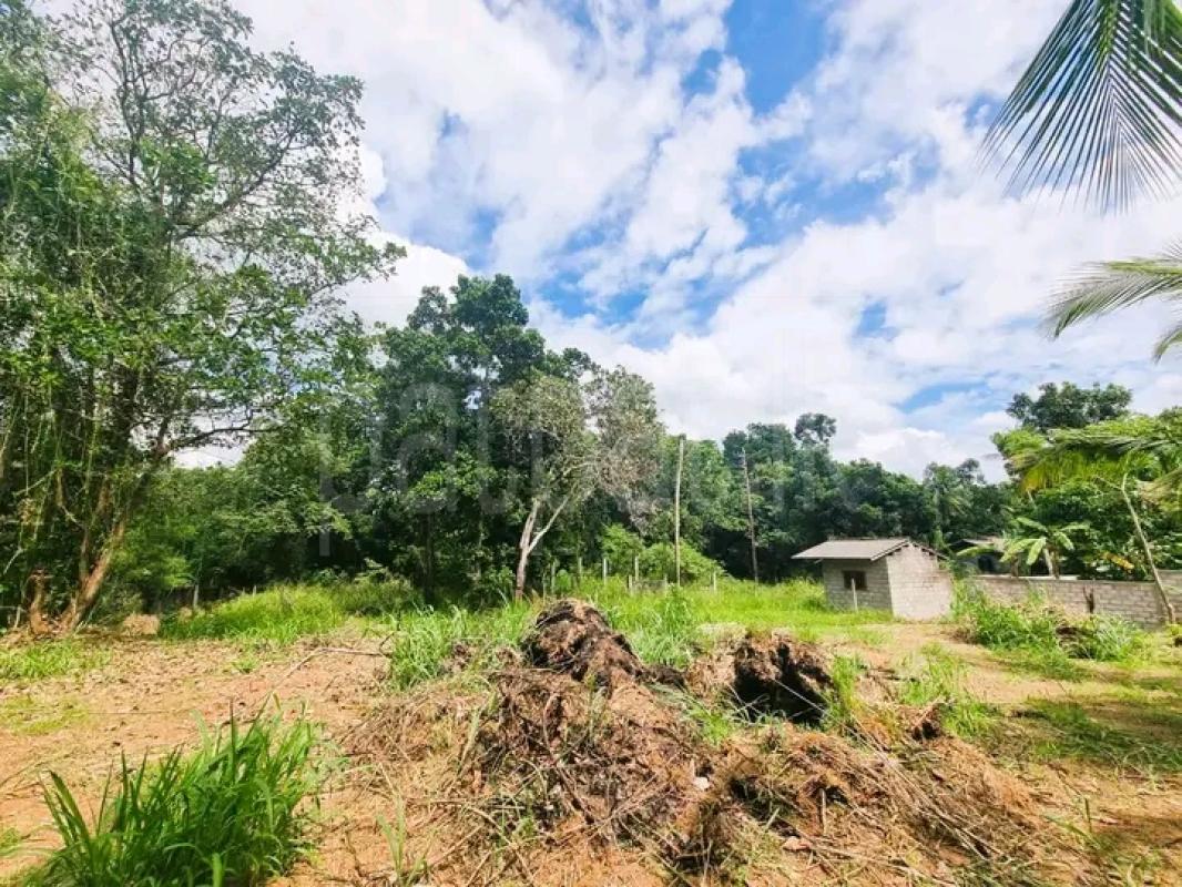 Commercial Land for Sale in Veyangoda ads-image-1