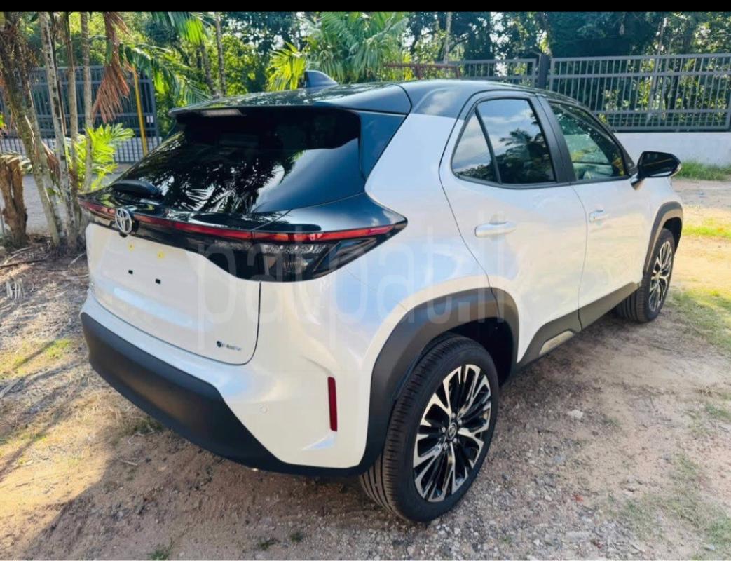 Advertisement image 4