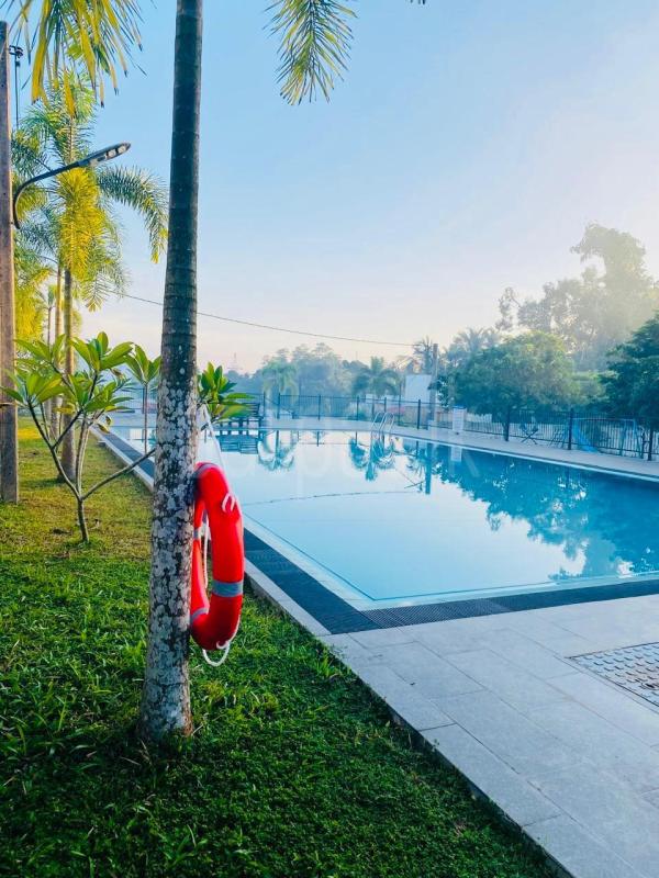 House for Sale in Kadawatha ads-image-1