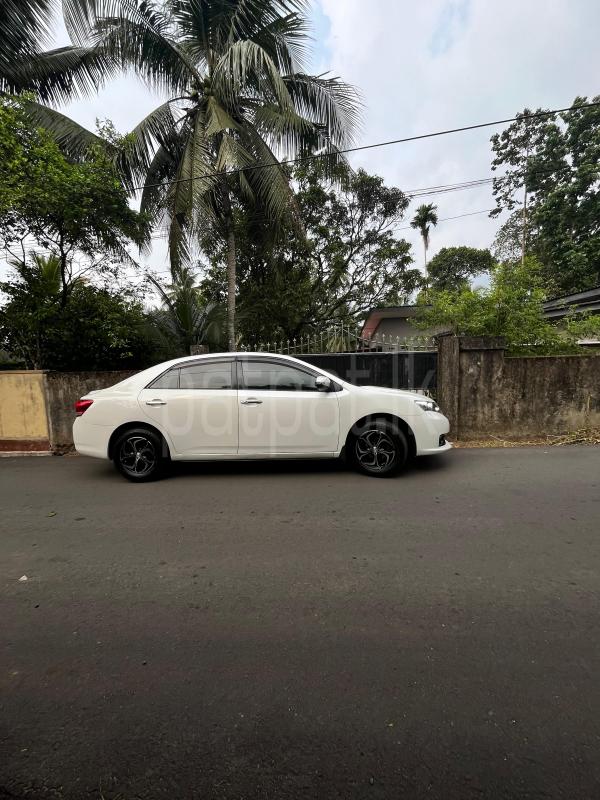 Advertisement image 3