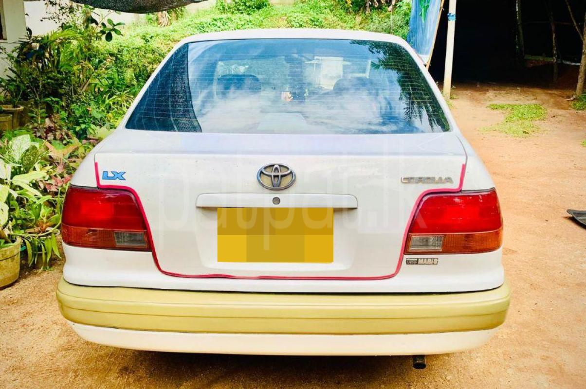 Advertisement image 2