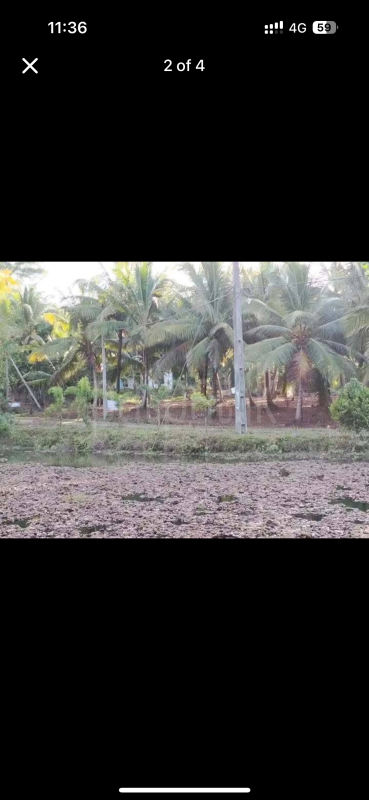 Residential Land for Sale in Weeraketiya ads-image-1