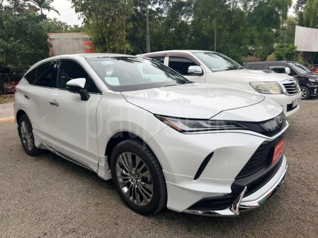 Advertisement image 3