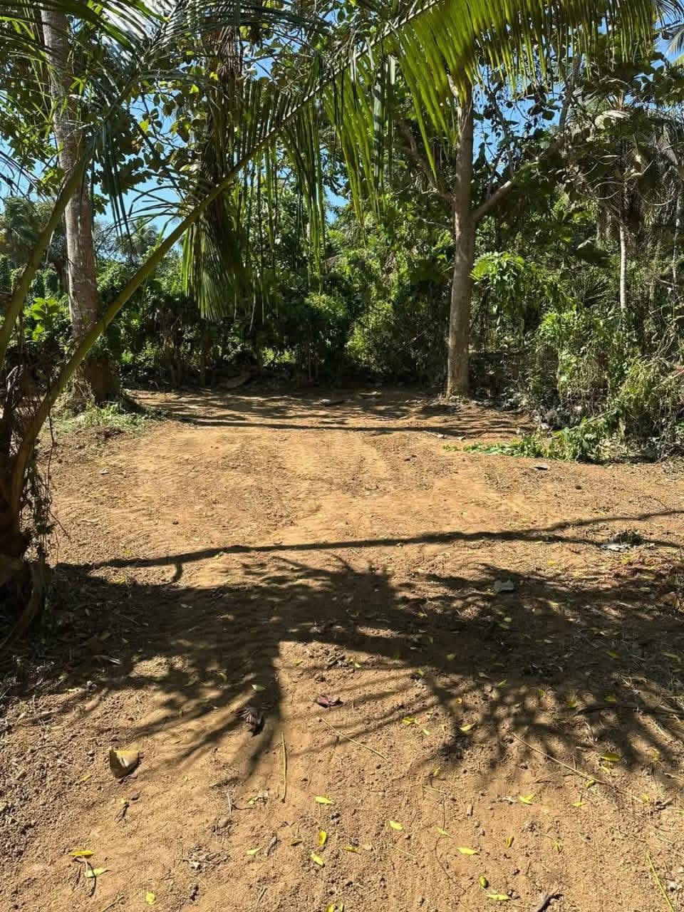 Residential Land for Sale in Beliatta