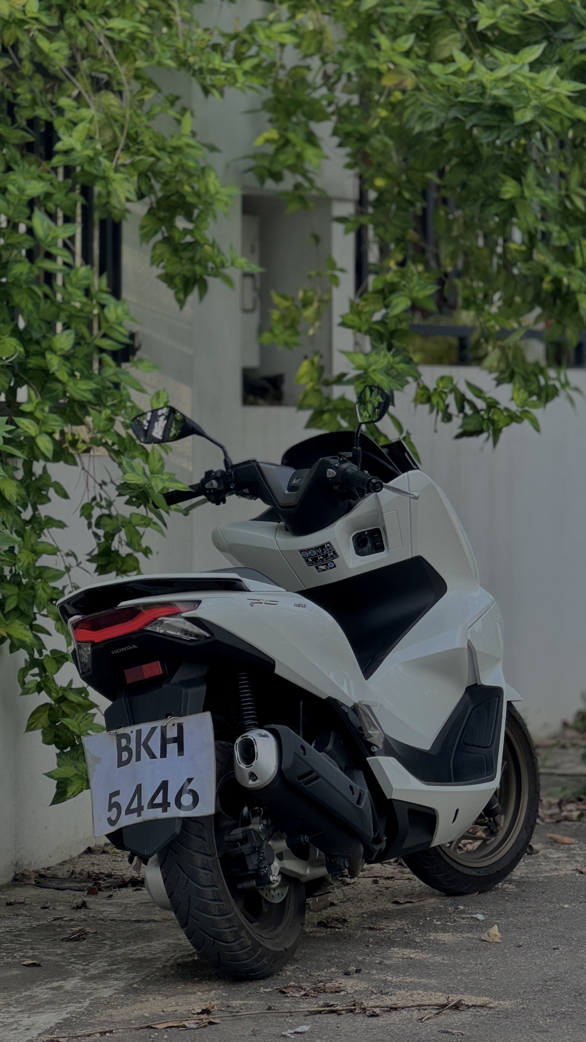 Honda PCX 2025 - Used Bike sale in Sri Lanka - patpat.lk