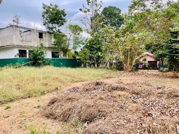 Commercial Land for Sale in Yakkala