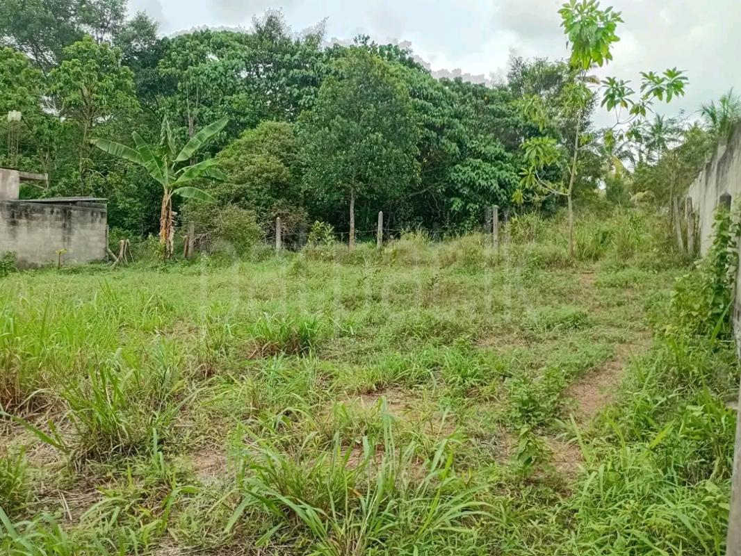 Agricultural Land for Sale in Avissawella