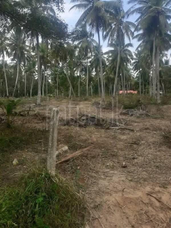 Residential Land for Sale in Kurunegala ads-image-1