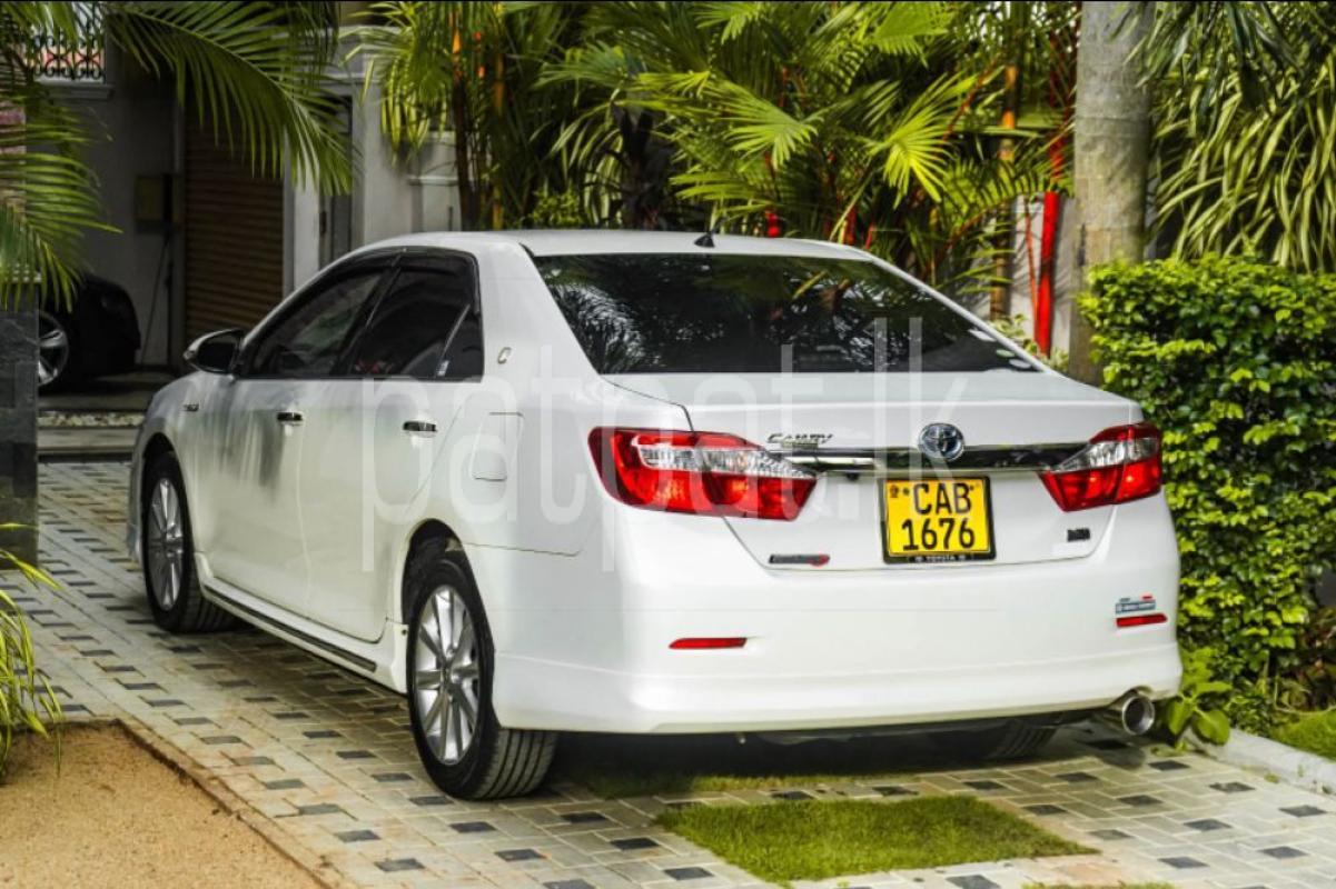 Advertisement image 3