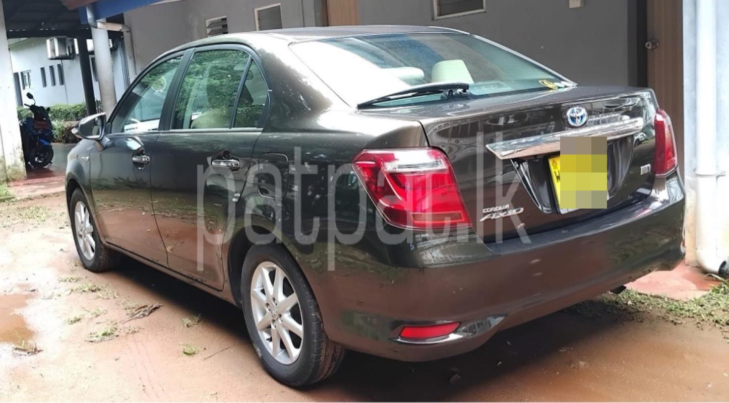 Advertisement image 6