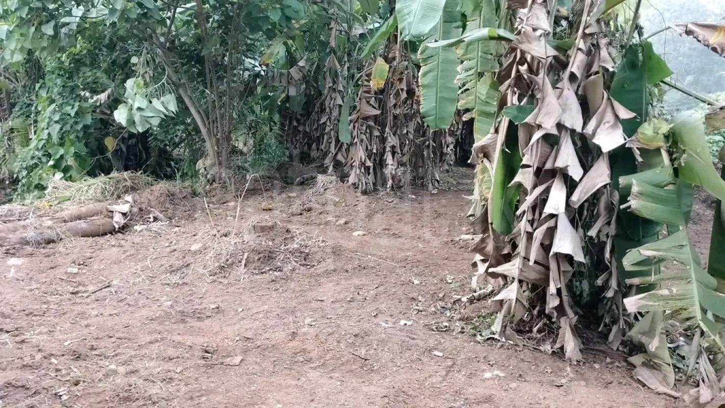 Agricultural Land for Sale in Maggona