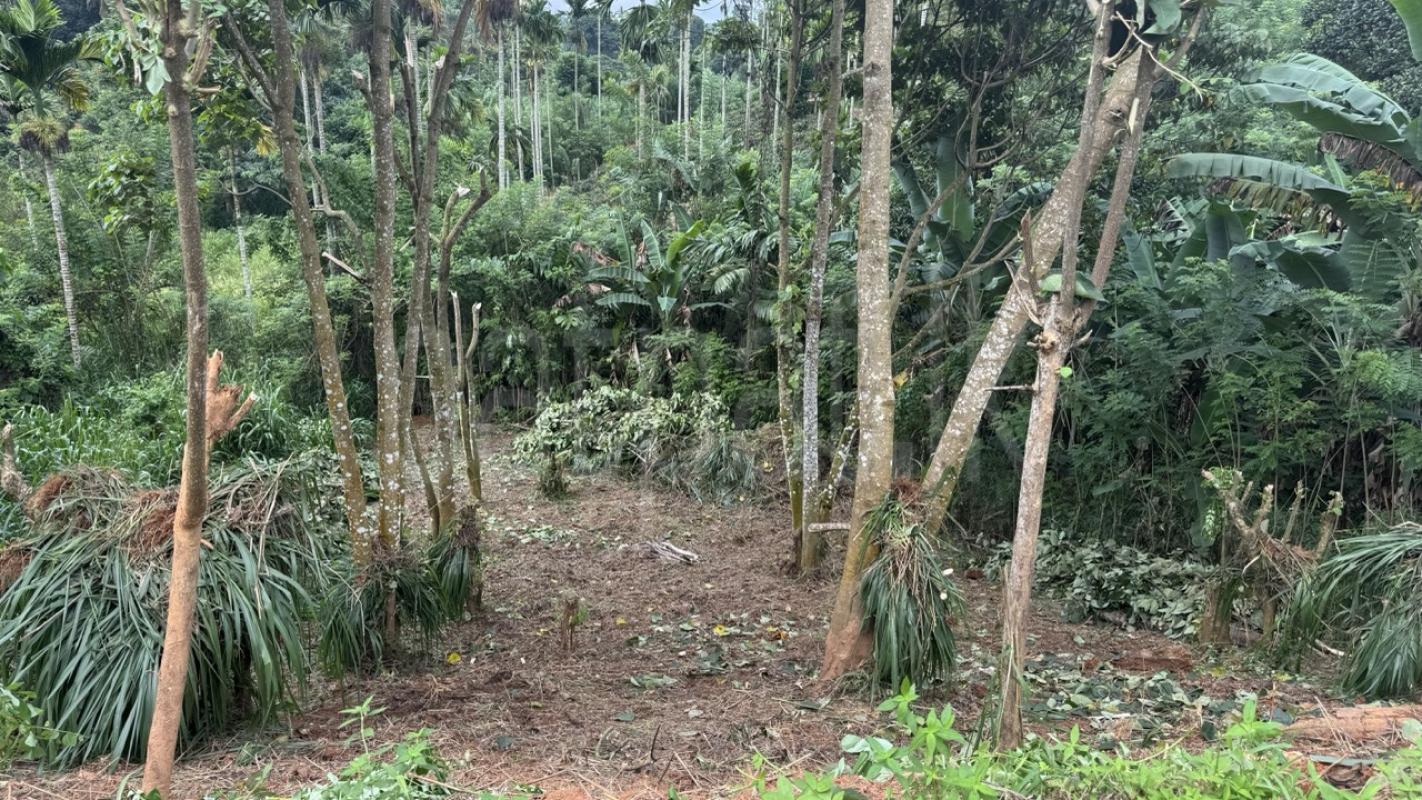 Residential Land for Sale in Pilimatalawa