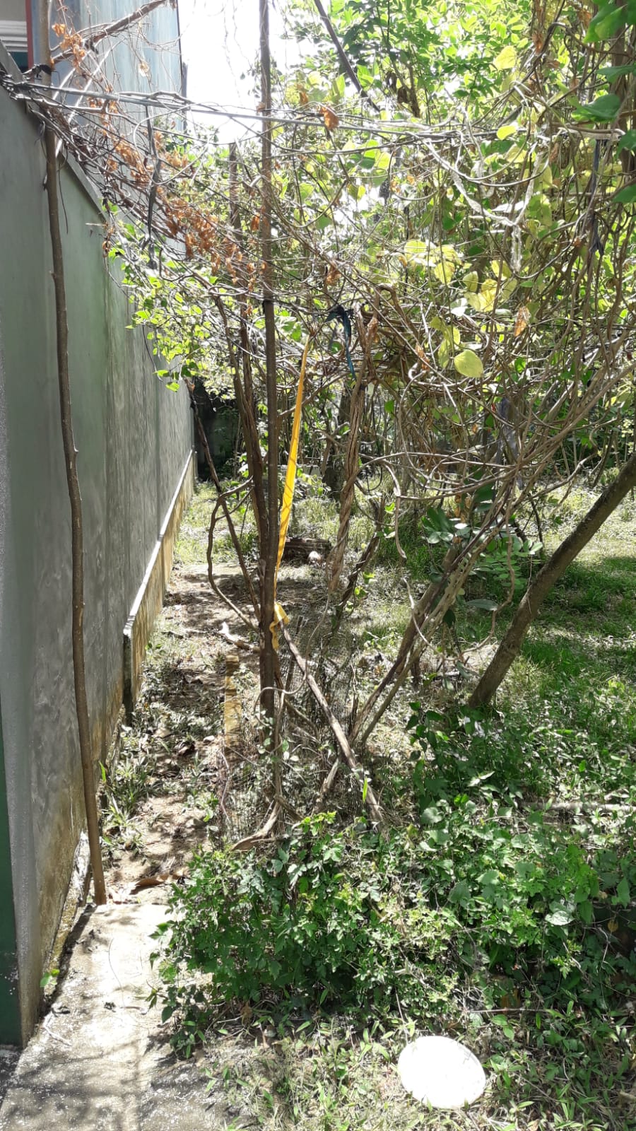 Residential Land for Sale in Boralesgamuwa