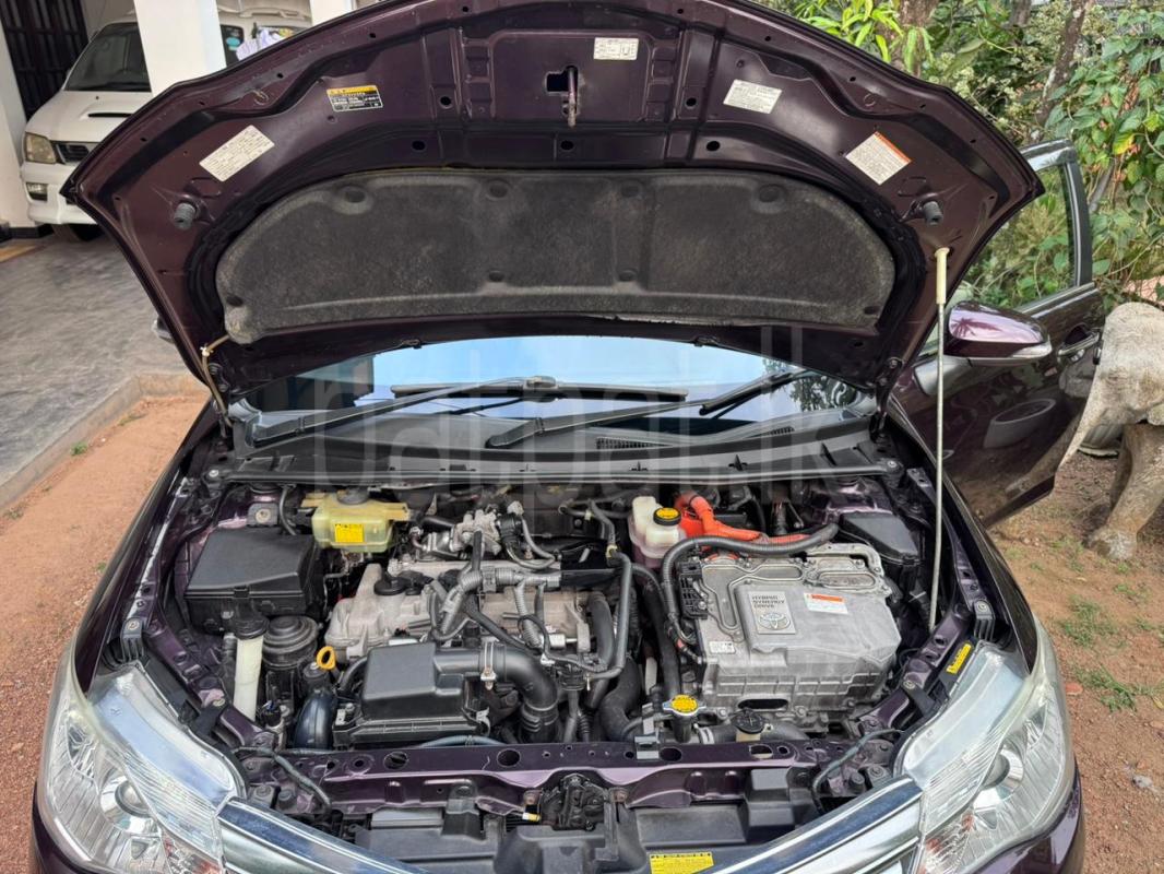 Advertisement image 6