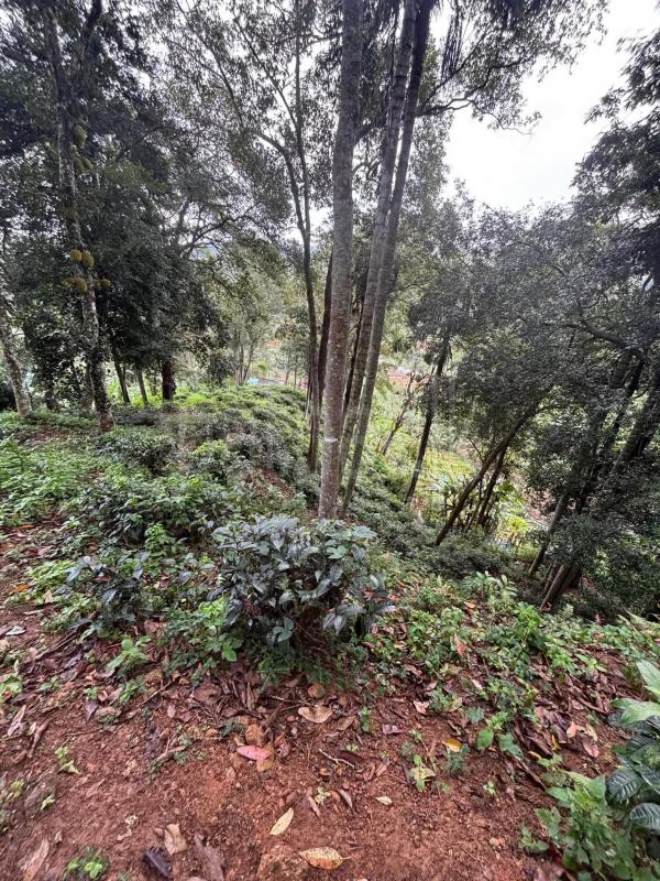Commercial Land for Sale in Bandarawela