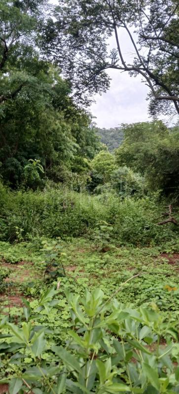 Residential Land for Sale in Kataragama