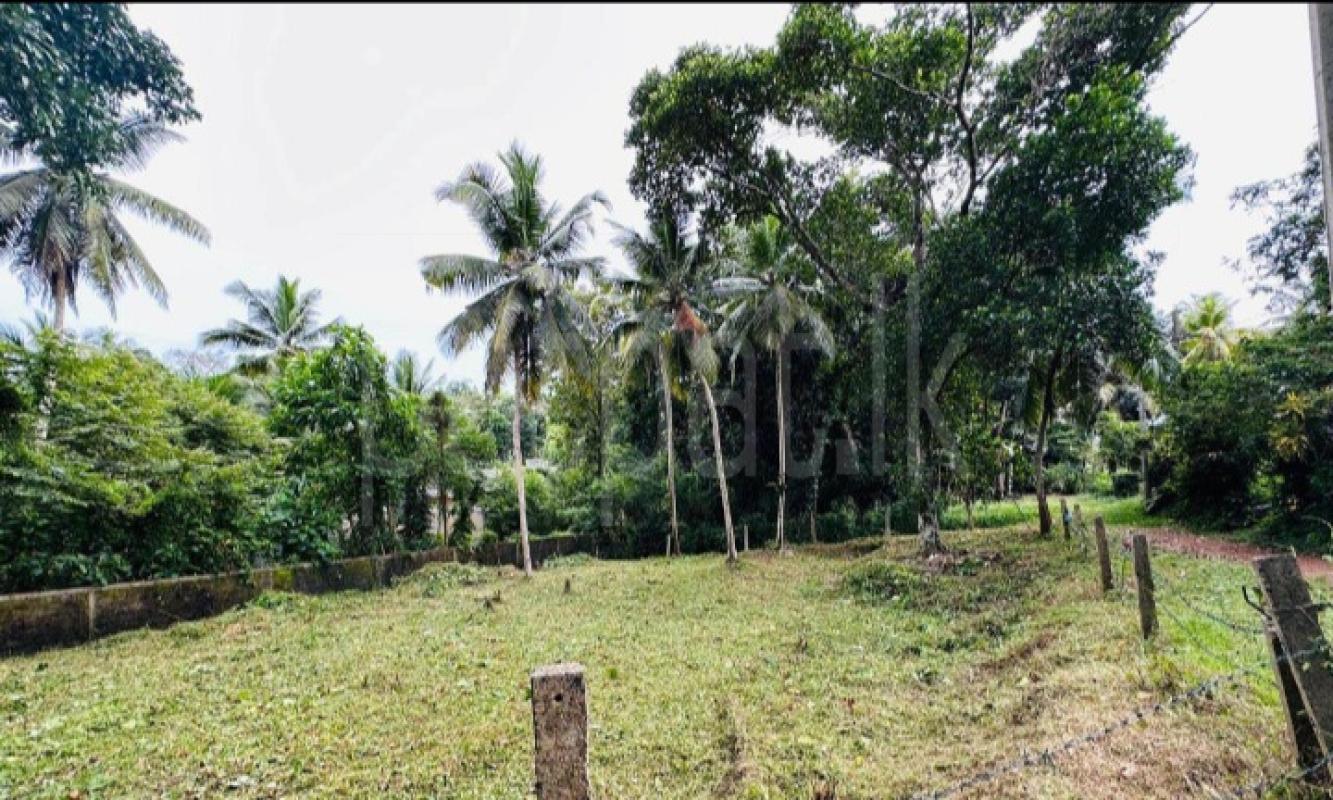 Commercial Land for Sale in Panadura