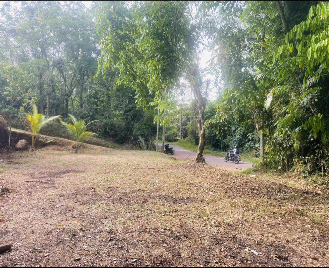 Residential Land for Sale in Kalutara