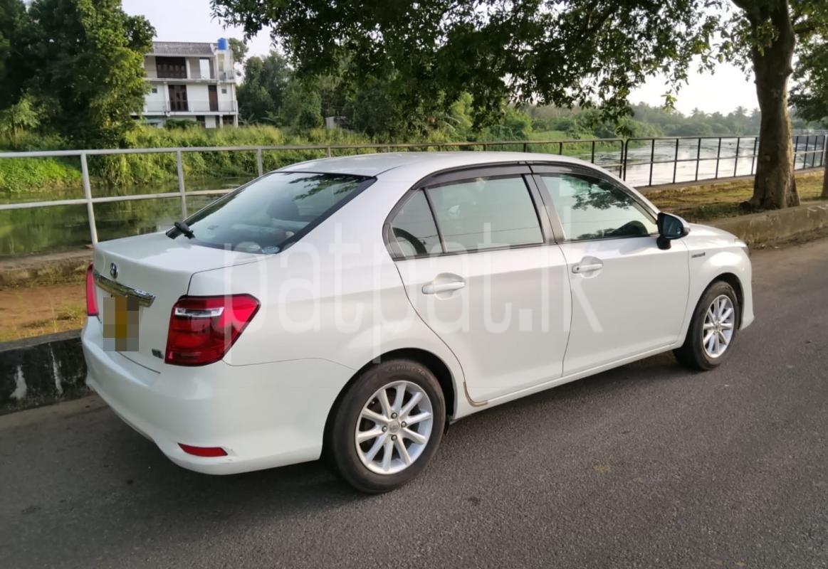 Advertisement image 3