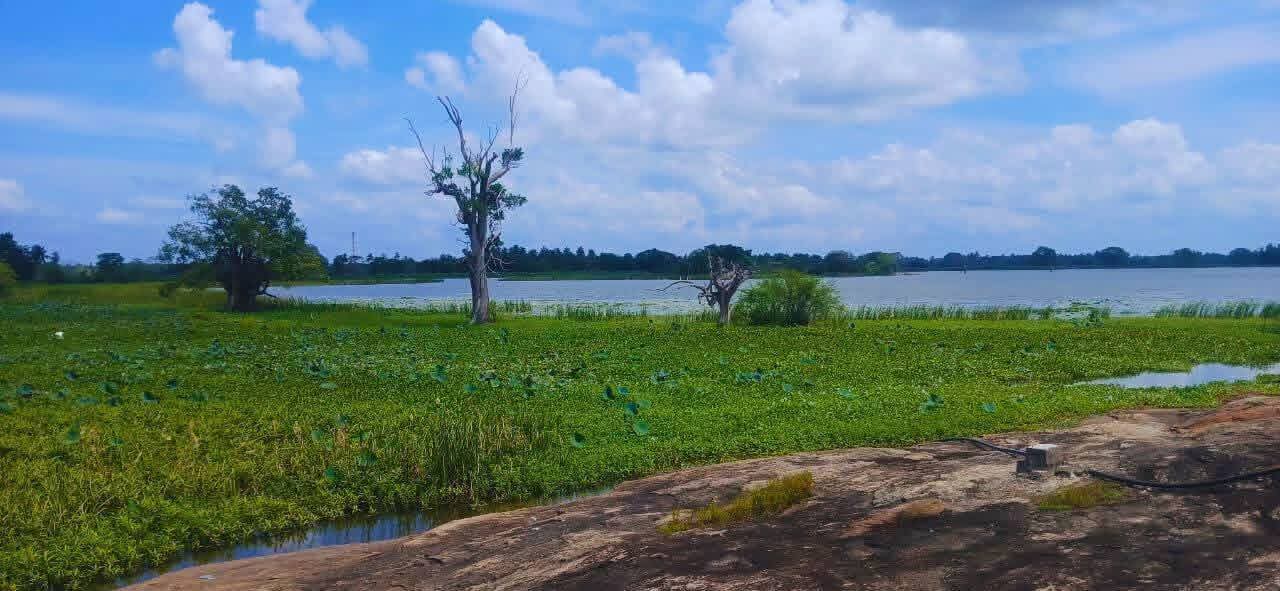 Agricultural Land for Sale in Kataragama