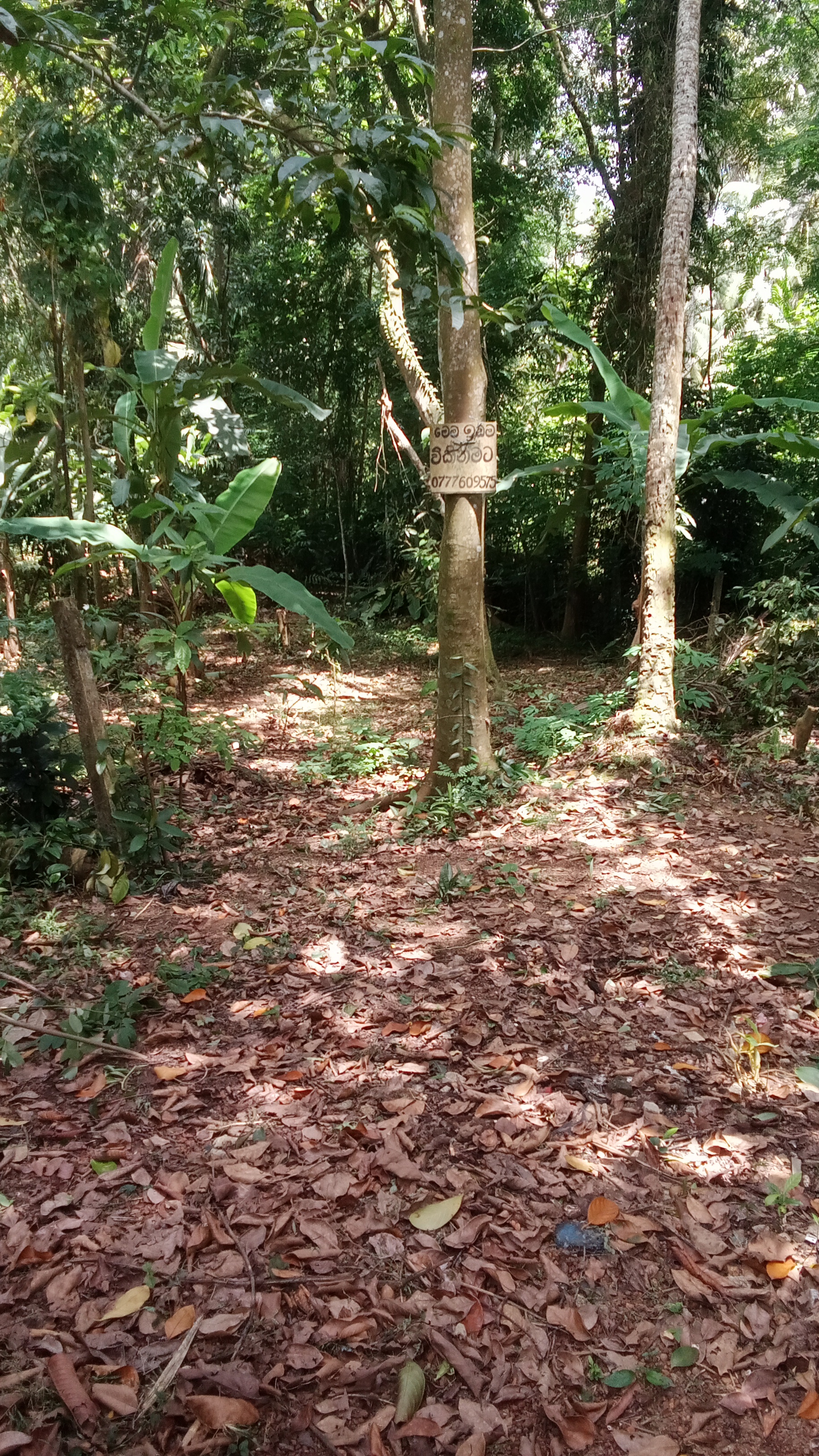 Residential Land for Sale in Kirillawala